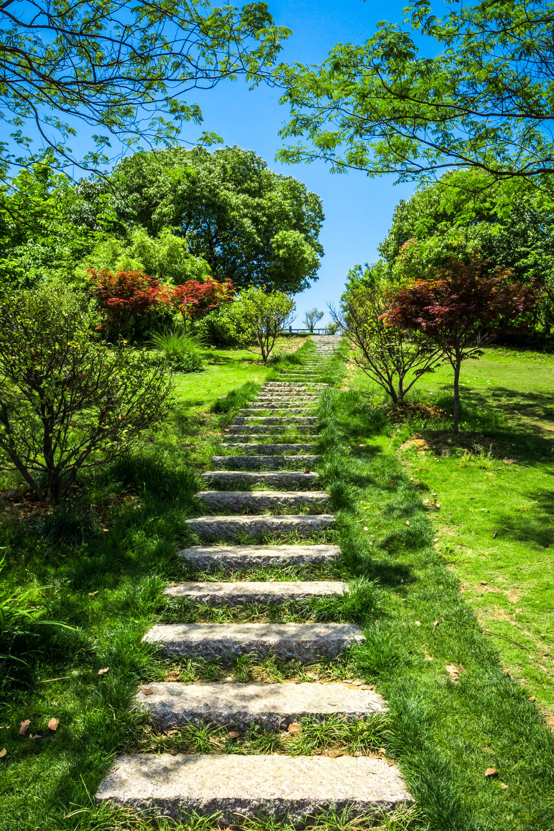 Jardinería profesional y mantenimiento de espacios verdes en la provincia de Madrid