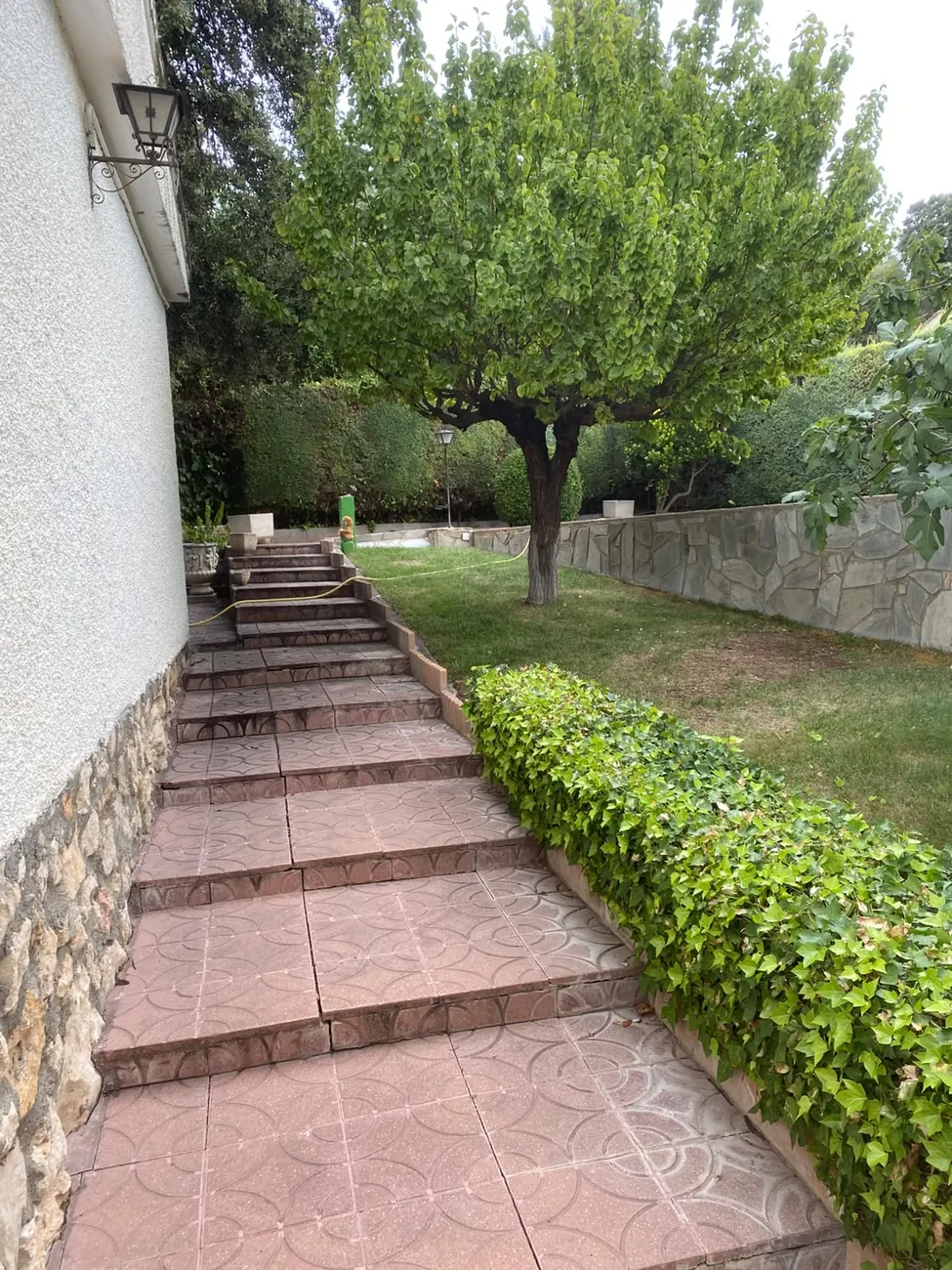 Camino de jardín con los bordes perfilados y la vegetación cuidada en Madrid