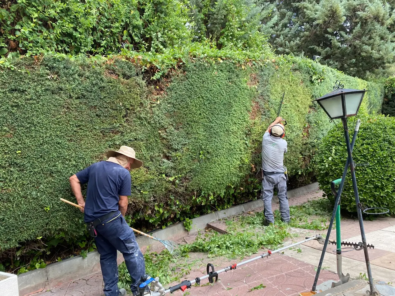 Equipo de Jardines Edén podando un seto perimetral en una comunidad de Madrid
