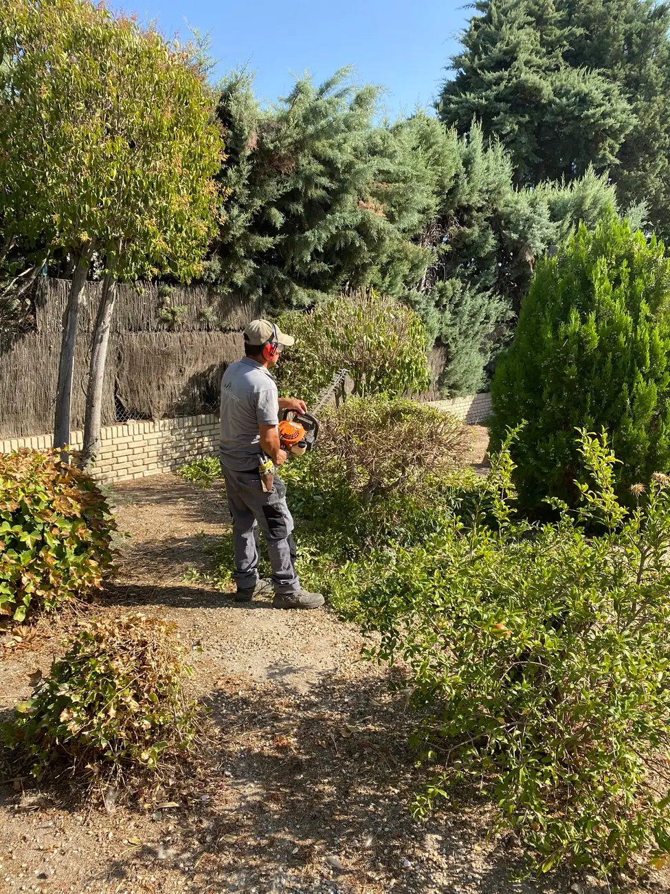Operario de Jardines Edén recortando arbustos con cortasetos profesional en Aranjuez