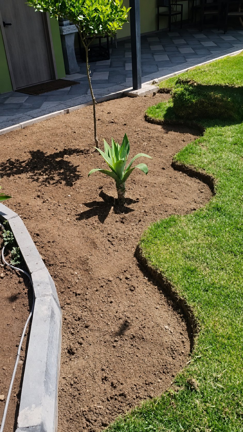 Inicio de transformación de jardín con tierra preparada y plantación base